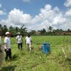 Koperasi IJP Maju Sejahtera Gandeng Kelompok Tani Lampung Timur, Kembangkan Magot Jadi Pupuk Cair dan Komoditas Bernilai Ekonomi