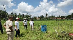 Koperasi IJP Maju Sejahtera Gandeng Kelompok Tani Lampung Timur, Kembangkan Magot Jadi Pupuk Cair dan Komoditas Bernilai Ekonomi