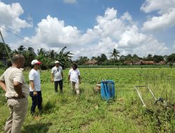 Koperasi IJP Maju Sejahtera Gandeng Kelompok Tani Lampung Timur, Kembangkan Magot Jadi Pupuk Cair dan Komoditas Bernilai Ekonomi