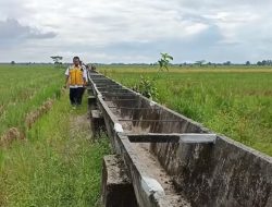 Irigasi Rp97,8 Miliar Retak Dini, AML Lampung Desak Audit Total Proyek Rawajitu