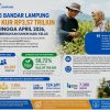 BRI Region 5 Bandar Lampung Salurkan KUR Rp3,57 Triliun ke 66 Ribu hingga April 2026, Bukti Perkuat Pemberdayaan UMKM Naik Kelas