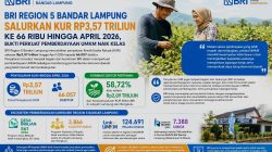 BRI Region 5 Bandar Lampung Salurkan KUR Rp3,57 Triliun ke 66 Ribu hingga April 2026, Bukti Perkuat Pemberdayaan UMKM Naik Kelas