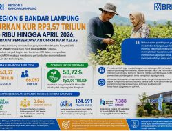 BRI Region 5 Bandar Lampung Salurkan KUR Rp3,57 Triliun ke 66 Ribu hingga April 2026, Bukti Perkuat Pemberdayaan UMKM Naik Kelas