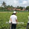 Berpraktek Hilirisasi di Lampung Menuju Industri Manufaktur