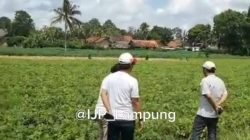 Berpraktek Hilirisasi di Lampung Menuju Industri Manufaktur