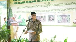 Anak Harimau Sumatera Tampil Perdana, Gubernur Lampung Resmikan Nama