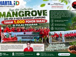Jaga dan Lestarikan Mangrove DPC PDI-P Kota Bandarlampung Tanam 1.000 Pohon Bakau di Pulau Pasaran