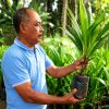 Dari Uji Coba Berbuah Sukses, PHC Ubah Produktivitas Sawit Petani Lampung Timur