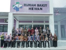 Faktualisasi Kelembagaan: Kemendagri Uji Usulan Pemprov Lampung Soal UPTD dan RSJ
